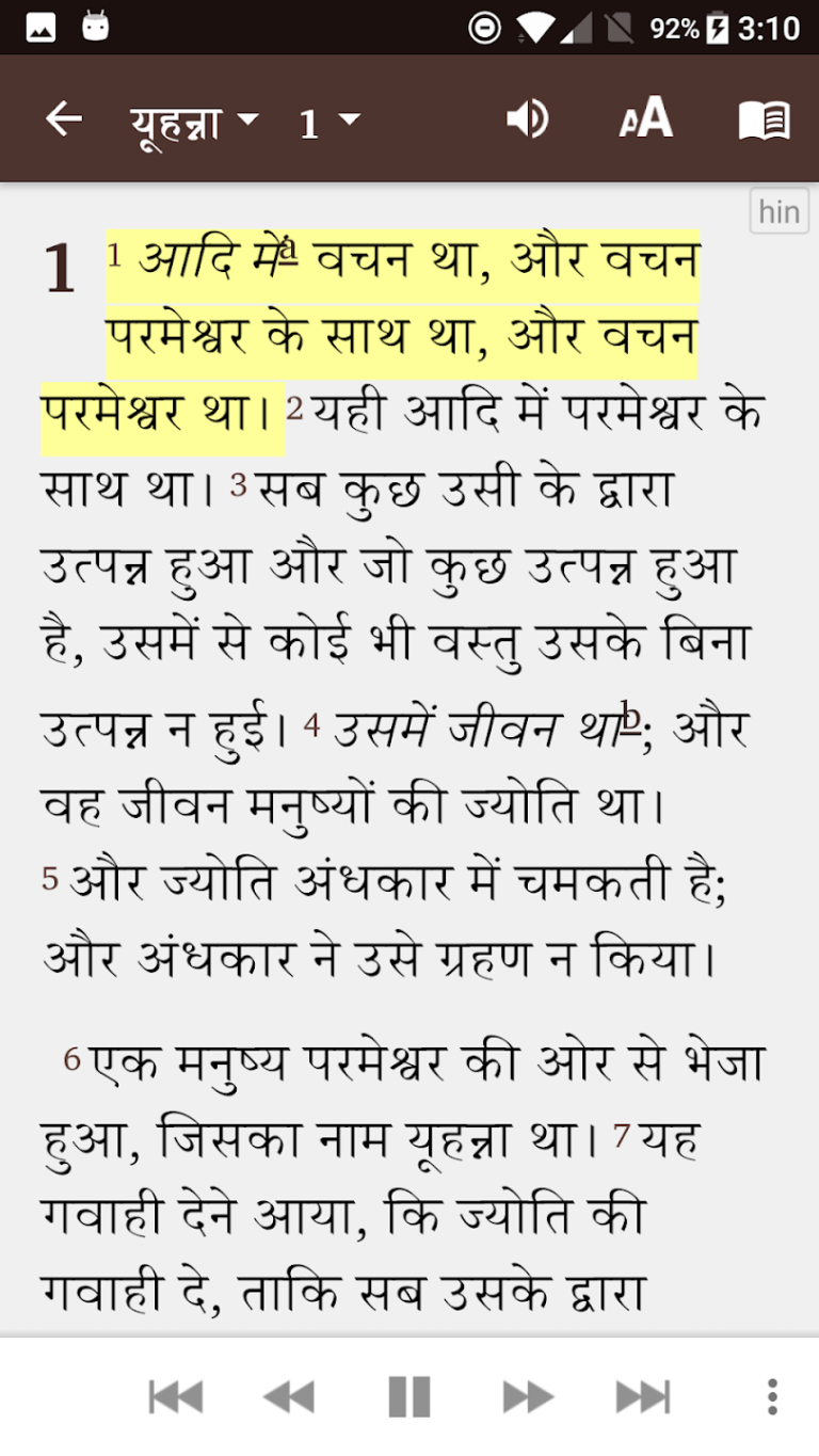 HINDI BIBLE (हिन्दी बाइबल)4